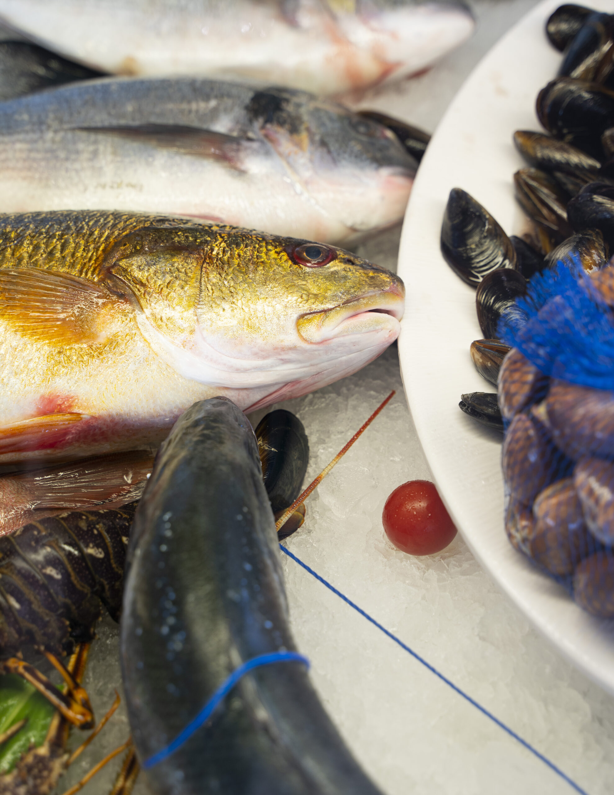 Il molo ristorante pesce agrigento7